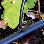 Conjunto 10 Uni�es 4MM AQUA CONTROL