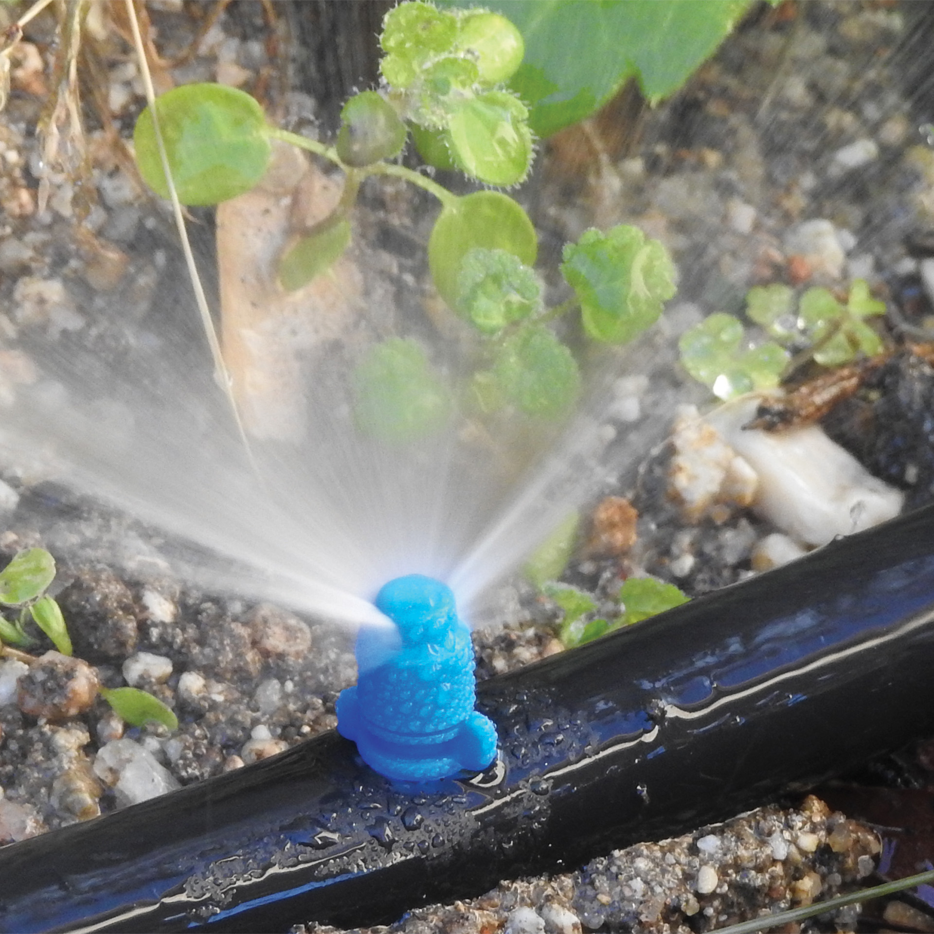 Conjunto 10 UN Mini Aspersores Maxijet 180 AQUA CO