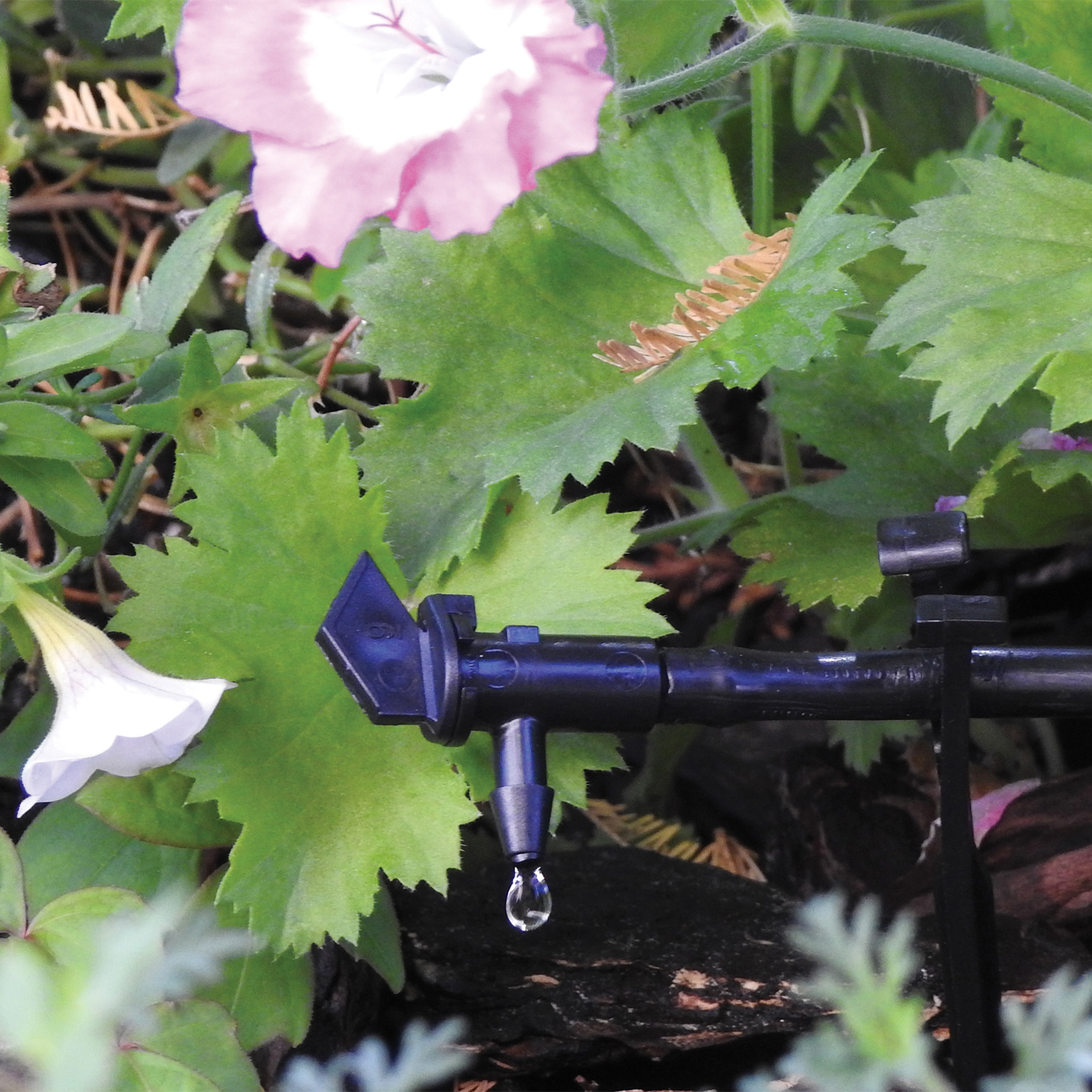 Gotejador Bandeira 4 L/H AQUA CONTROL