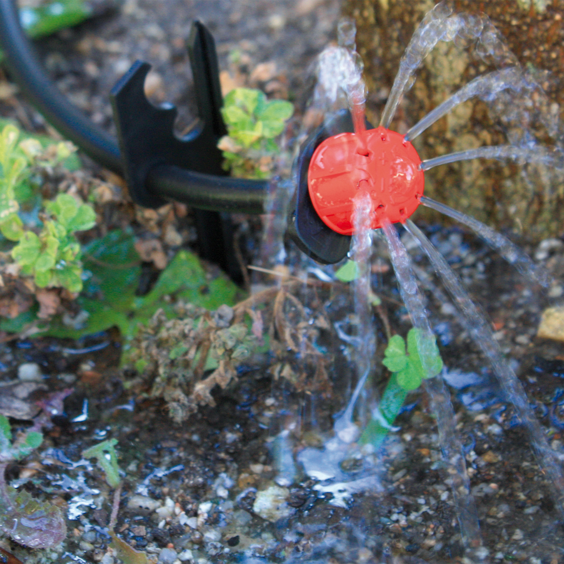 Inundador Regul 0-60 L/H 25UN AQUA CONTROL