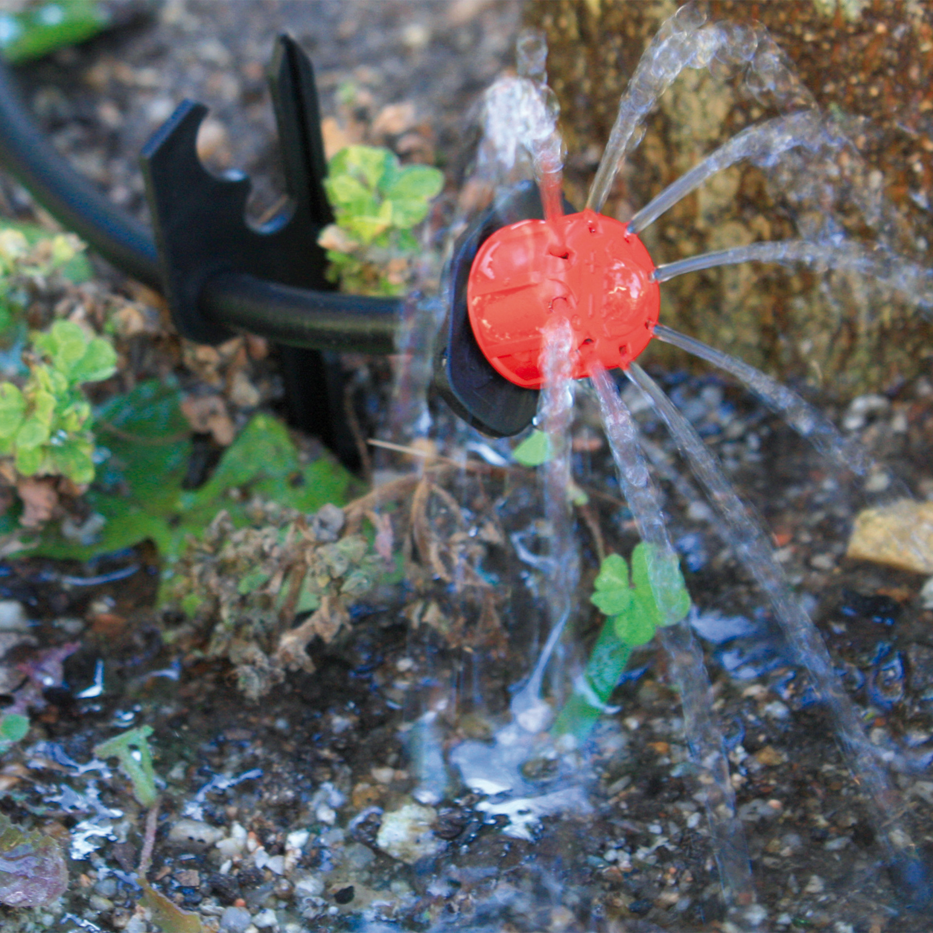 Inundador Regul 0-60 L/H 50UN AQUA CONTROL