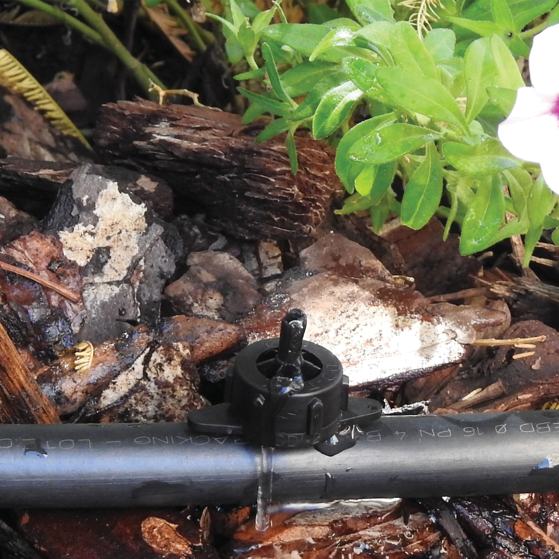 Gotejador Autocomp 4 L/H AQUA CONTROL