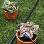 Conjunto 2 Gotejadores 4 L/H 2 Sa�das Com Microtub