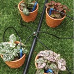 Conj Gotejador 8 L/H 4 Saidas Com Microtubo 60 Cm Conj Gotejador 8 L/H 4 Saidas Com Microtubo 60 Cm