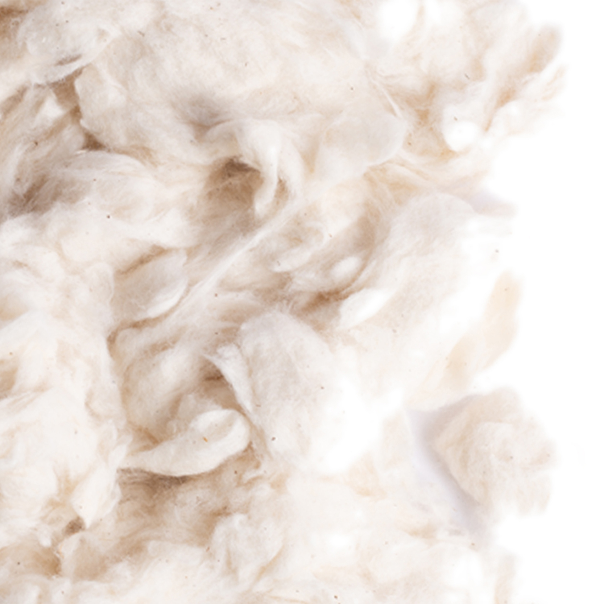 Ninho P/Hamster 50 G SISAL FIBRE
