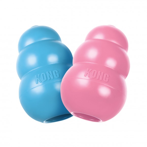 Brinquedo Borracha Para Cachorro XS KONG