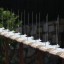 PINOS ANTI POMBOS 2M