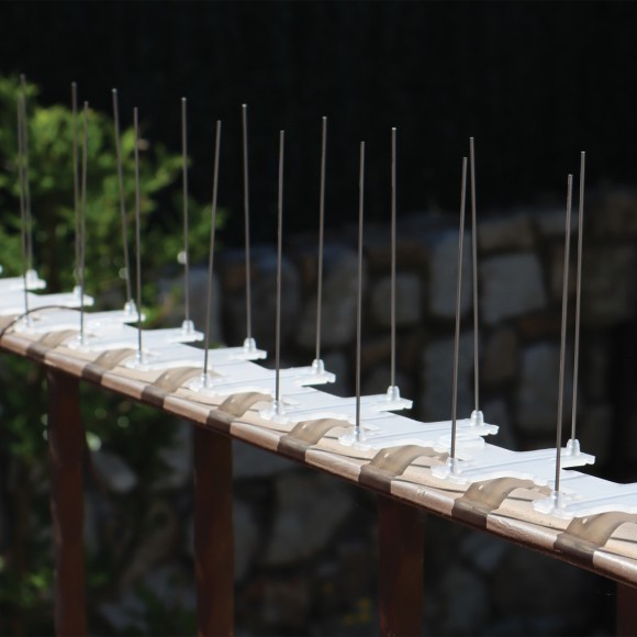 PINOS ANTI POMBOS 2M