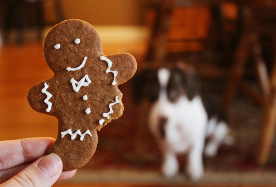 3 receitas rpidas de biscoitos de Natal para o seu co