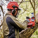 Serra Sem Fio Fortexxa 18V Pxc EINHELL