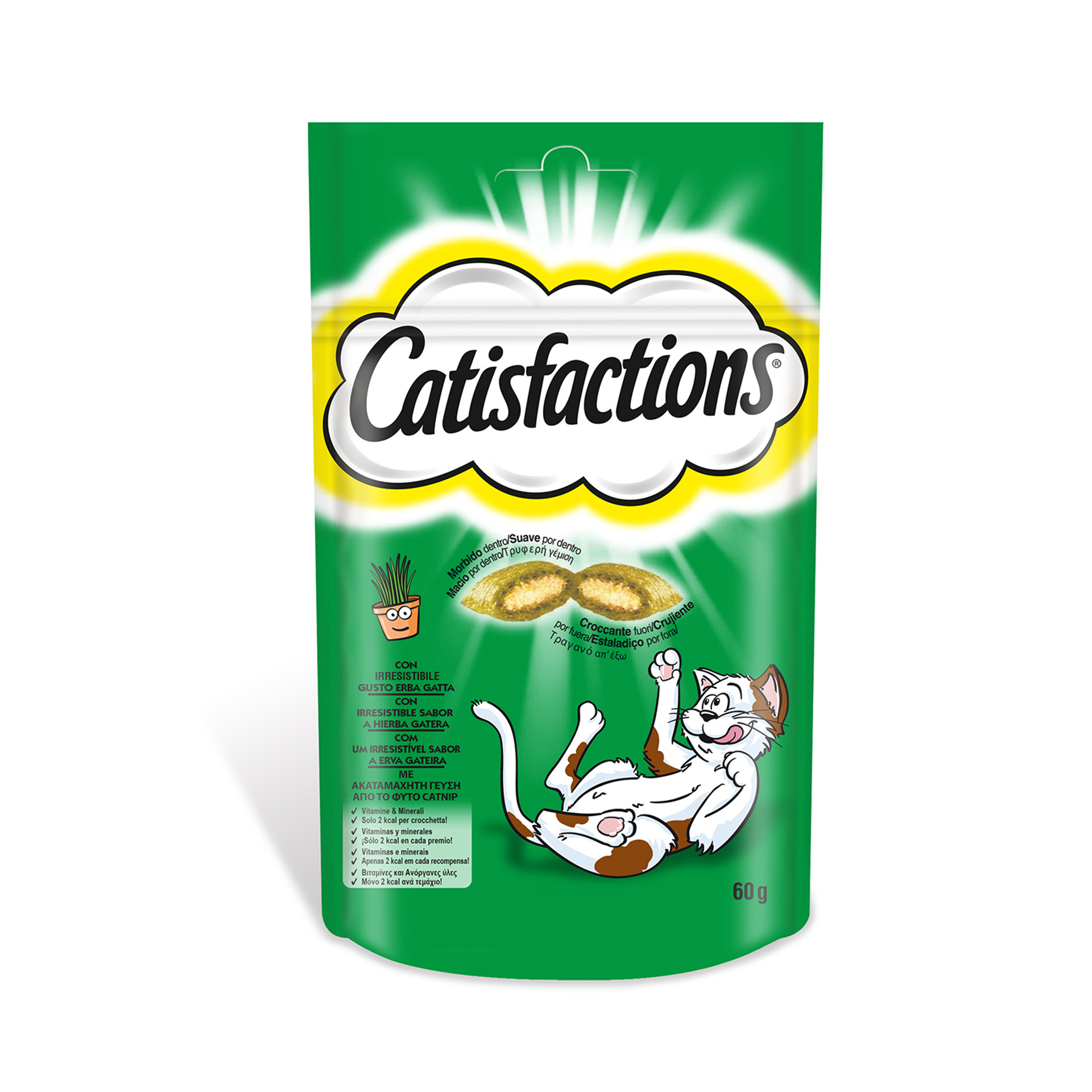 Snack Para Gato Erva 60 G CATISFACTION