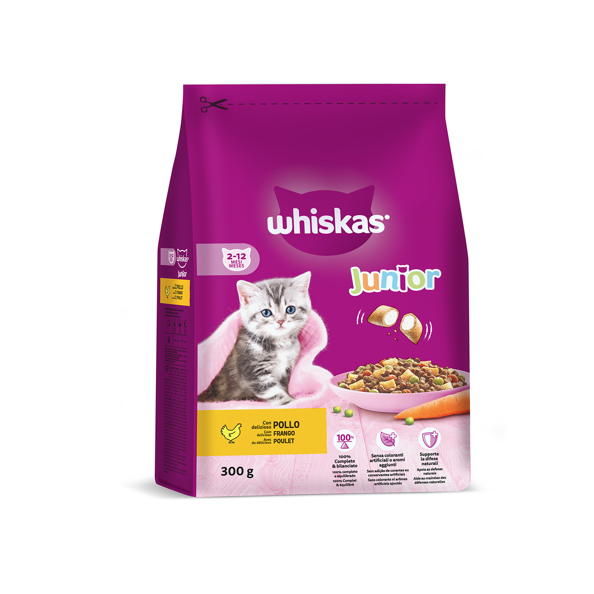 ALIMENTO SECO PARA GATO JÚNIOR GALINHA 300 G