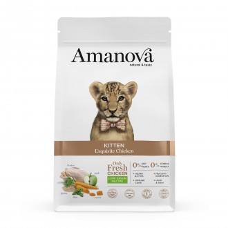 ALIMENTO SECO PARA GATINHO EXQUISI FRANGO 4 KG