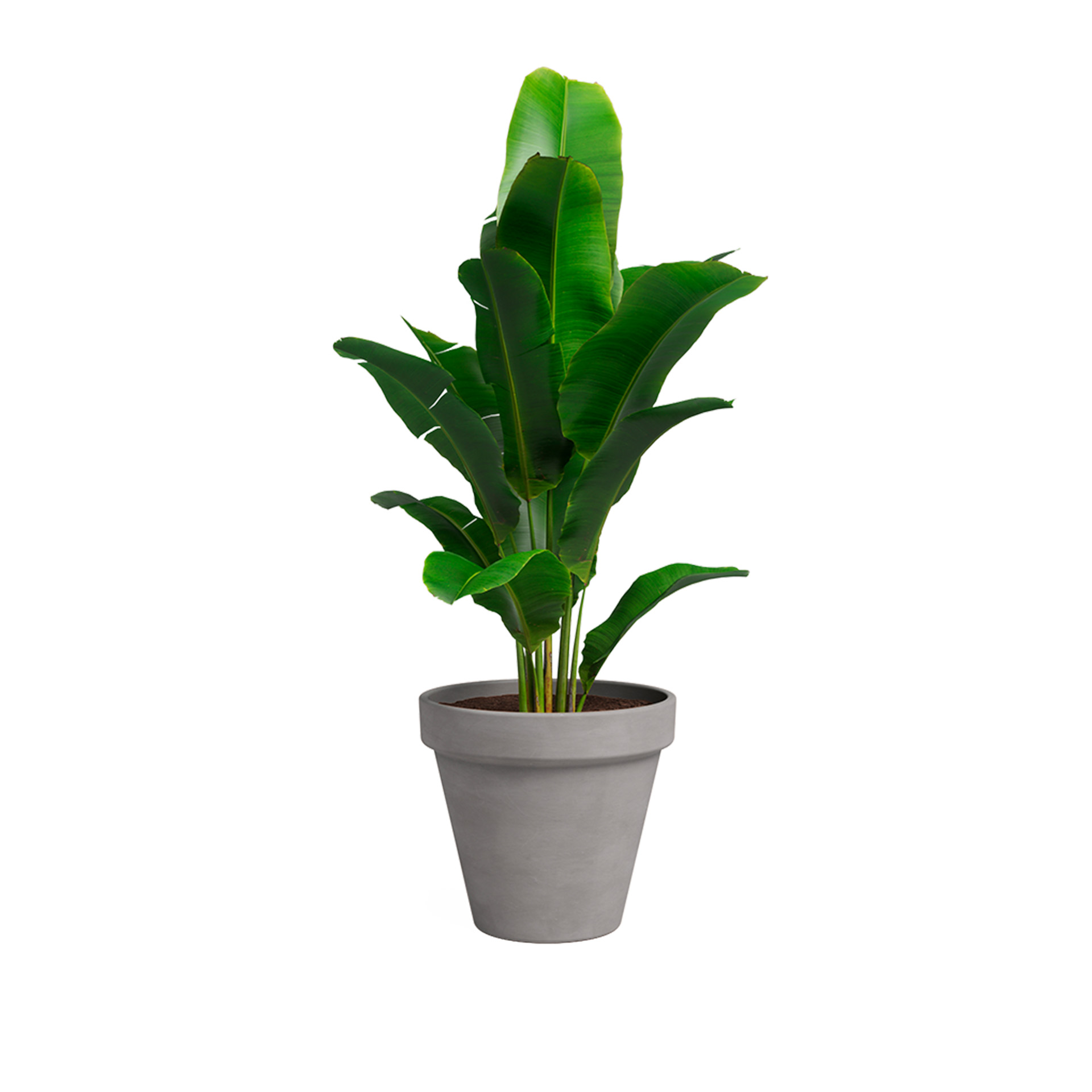 Vaso Amália 27 CM Vulcano ARTEVASI