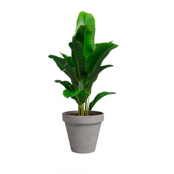 Vaso Amlia 31 CM Vulcano ARTEVASI
