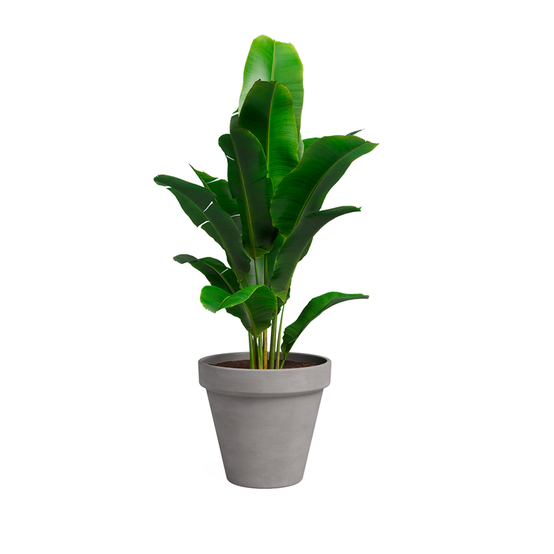 Vaso Amália 31 CM Vulcano ARTEVASI