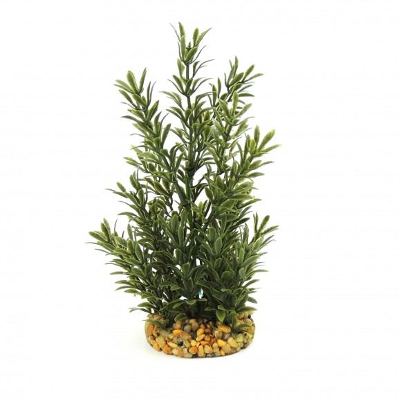 Decorao Planta Aqutica Verde Musgo Escuro CLASS