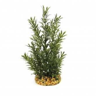 Decorao Planta Aqutica Verde Musgo Escuro CLASS