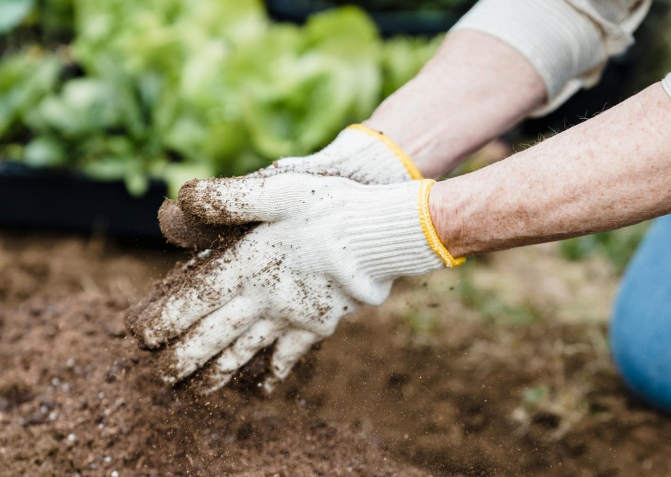 7 dicas para melhor a fertilidade do solo