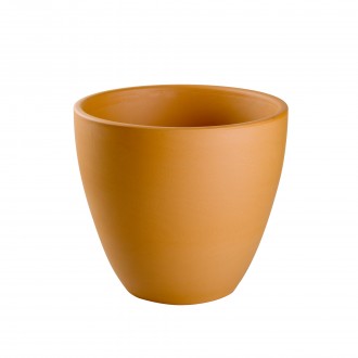 Vaso Tulipa N34 34X29