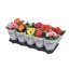 GERBERA MIX V12 (VENDIDO  UNIDADE)