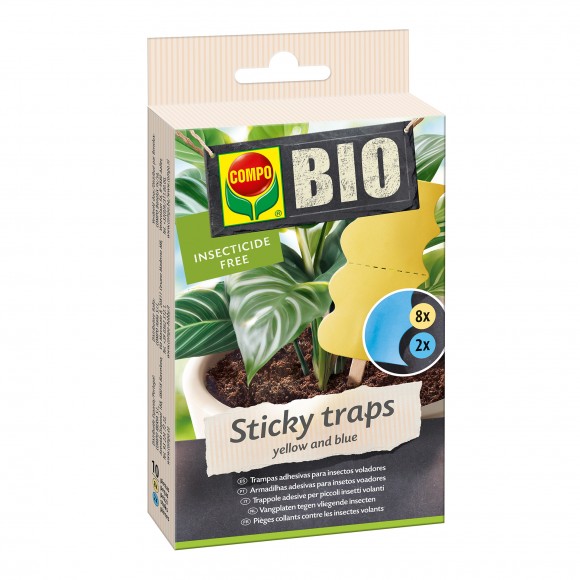 Armadilha Adesiva Insetos COMPO
