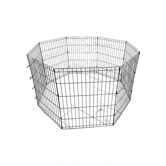 PARQUE ANIMAIS DE COMPANHIA