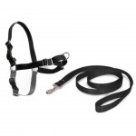 Peitoral Easy Walk Preto S PETSAFE