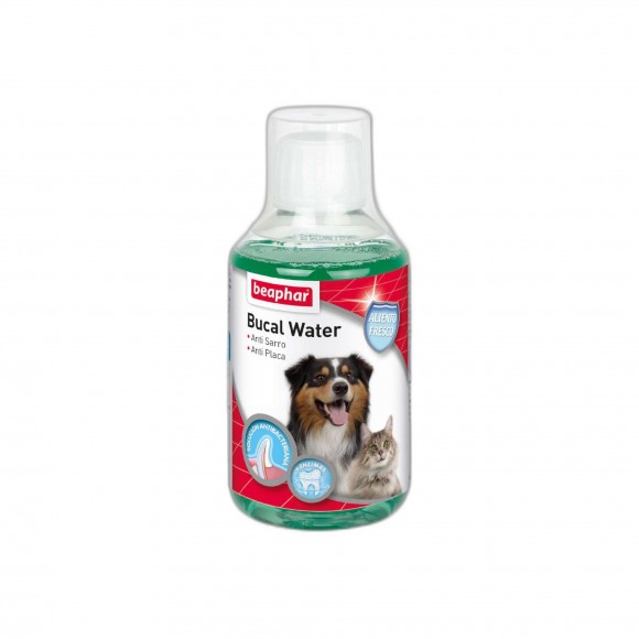 ELXIR BUCAL 250 ML