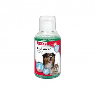 ELXIR BUCAL 250 ML