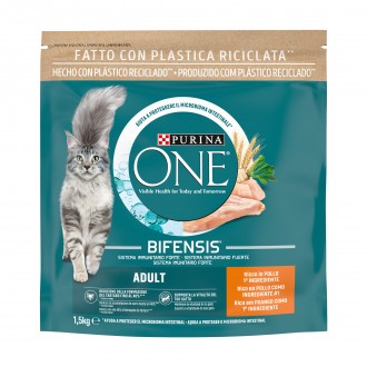 ALIMENTO SECO PARA GATO ADULTO FRANGO 1,5 KG