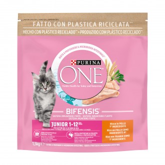 ALIMENTO SECO PARA GATO JNIOR FRANGO 1,5 KG
