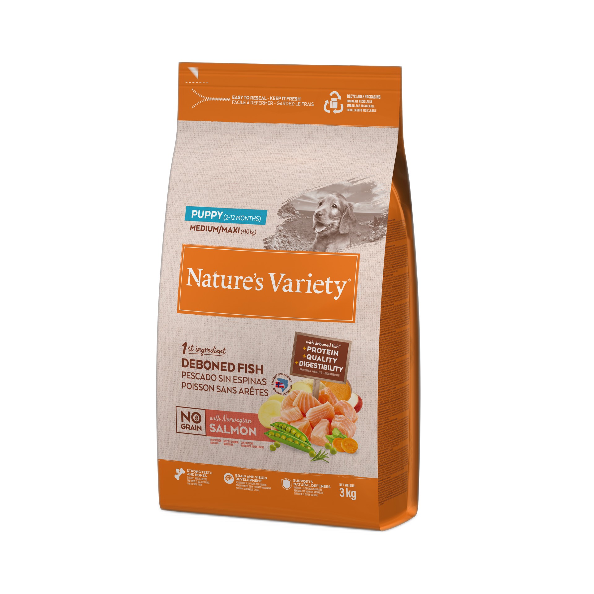 ALIMENTO SECO PARA CACHORRO NO GRAING SALMÃO 3 KG