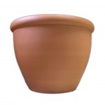 Vaso Iris N30 32X23