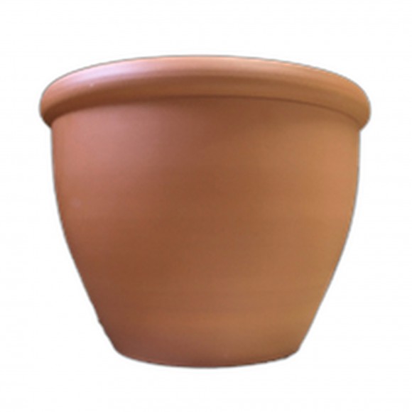 Vaso Iris N30 32X23
