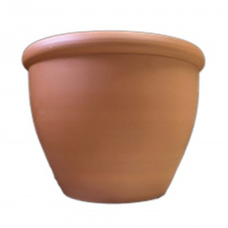 Vaso Iris N30 32X23
