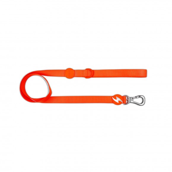 Trela Neon Laranja XS DASHI Trela Neon Laranja XS DASHI