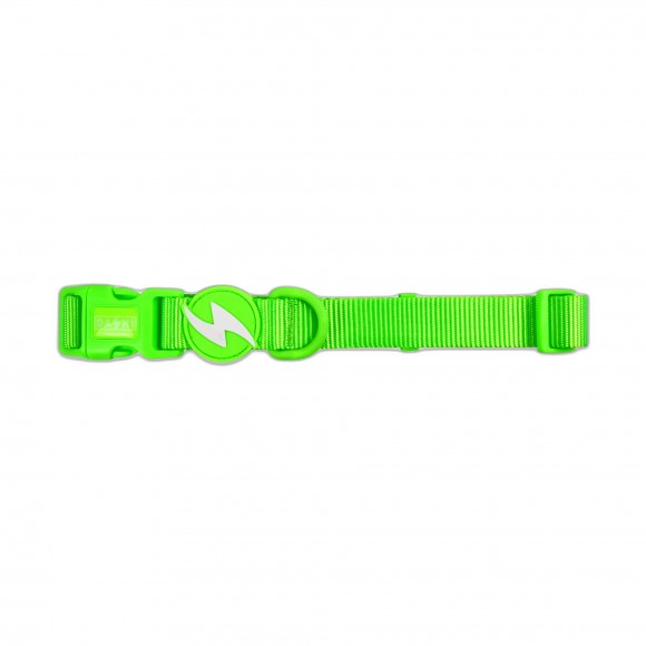 Coleira Neon Verde M DASHI Coleira Neon Verde M DASHI