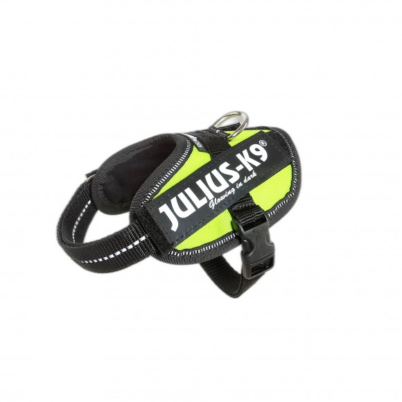 Peitoral Co Idc Neon Baby 1 JULIUS-K9