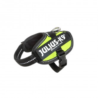 Peitoral Co Idc Neon Baby 1 JULIUS-K9