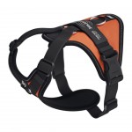 Peitoral C�o Longwalk Light Laranja XS JULIUS-K9