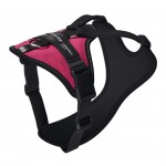 Peitoral Co Longwalk Light Fucsia M JULIUS-K9