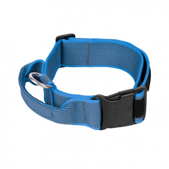 Coleira Co 40Mm Azul S/M JULIUS-K9