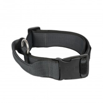 Coleira Co 40Mm Preta S/M JULIUS-K9