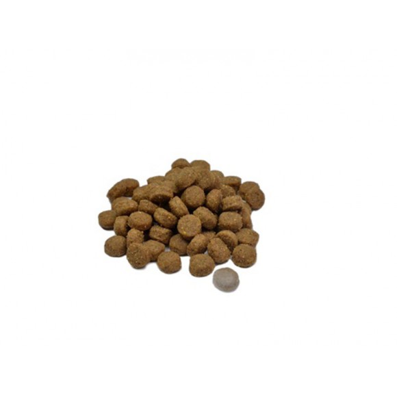 ALIMENTO SECO PARA CO FRANGO E ROM 12 KG
