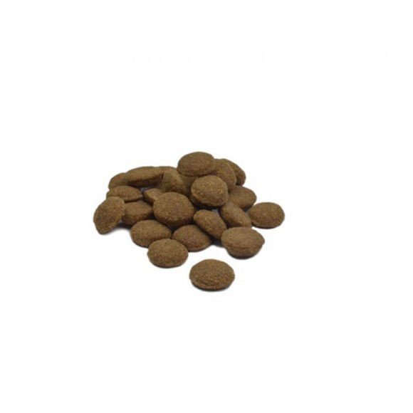 ALIMENTO SECO PARA CO FRANGO E CENOURA 12 KG