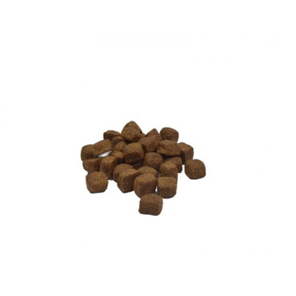 ALIMENTO SECO PARA CO PER 3 KG
