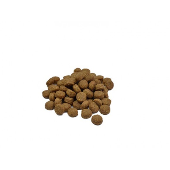 ALIMENTO SECO PARA CO FRANGO E ROM 3 KG