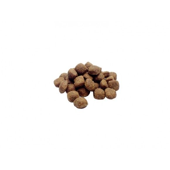 ALIMENTO SECO PARA CO CORDEIRO E GOJI 3 KG
