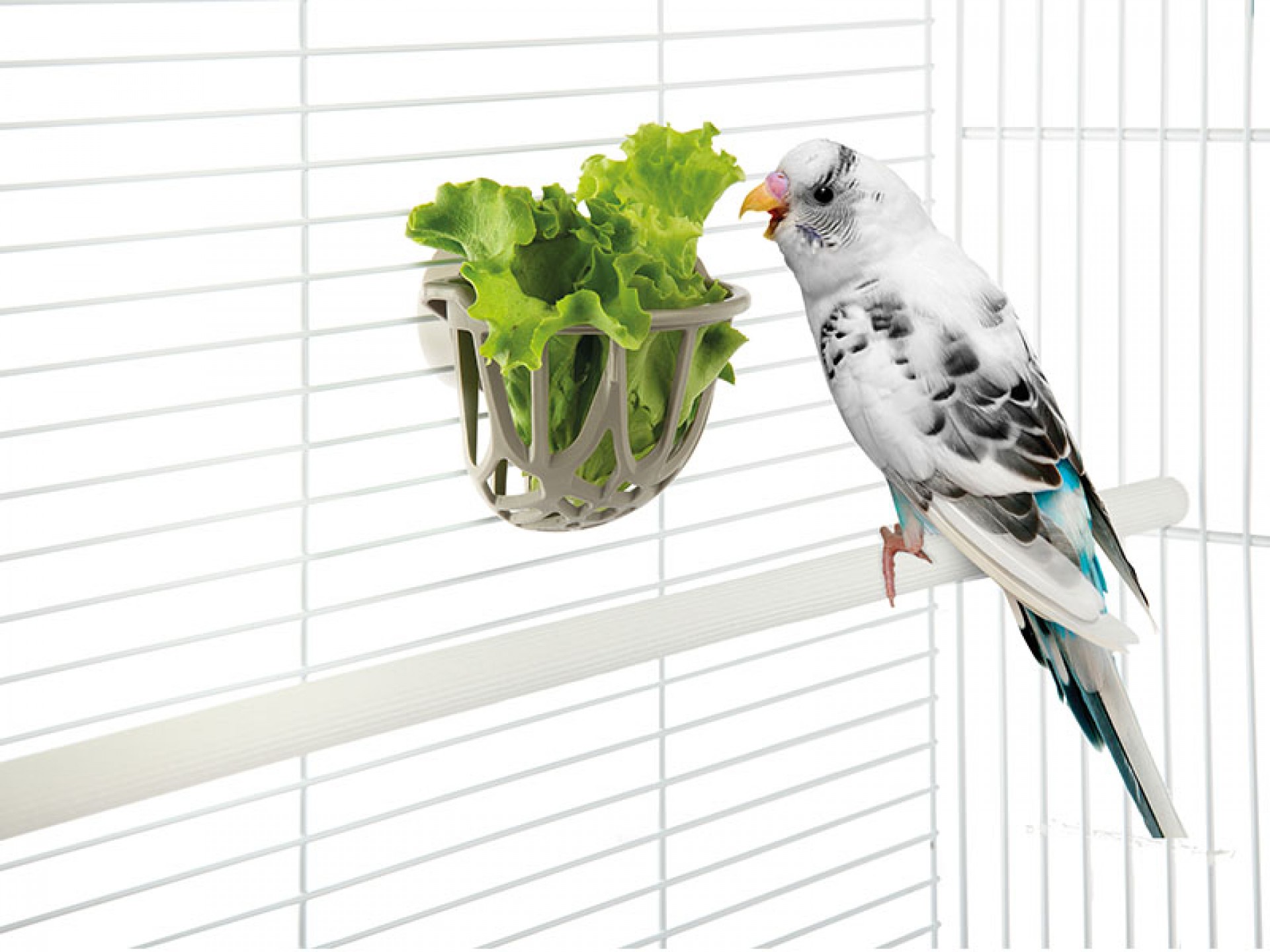 Suporte P/Verduras Pássaros IMAC